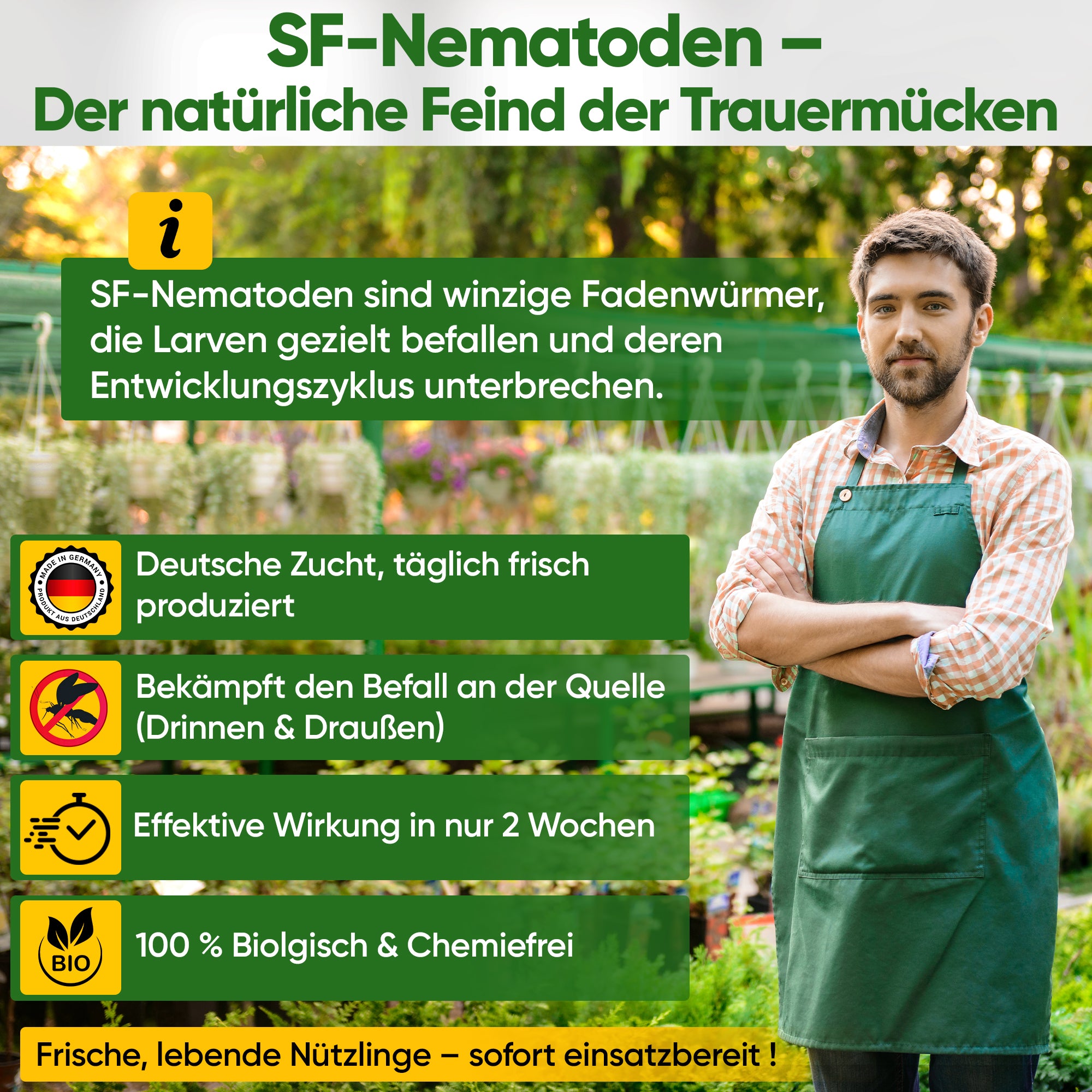 SF nematoder mod svampemyg, møller og myrer