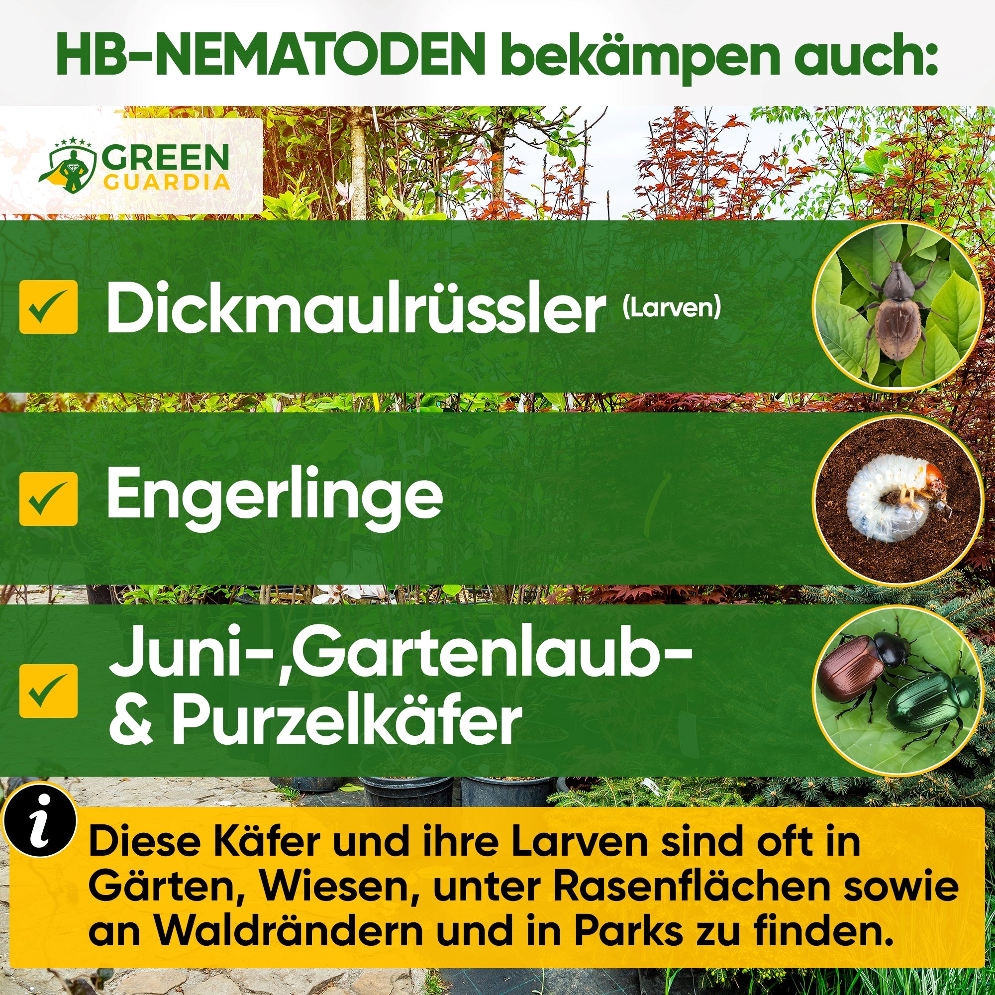HB-nematoder mod sorte vinsnudebiller og larver