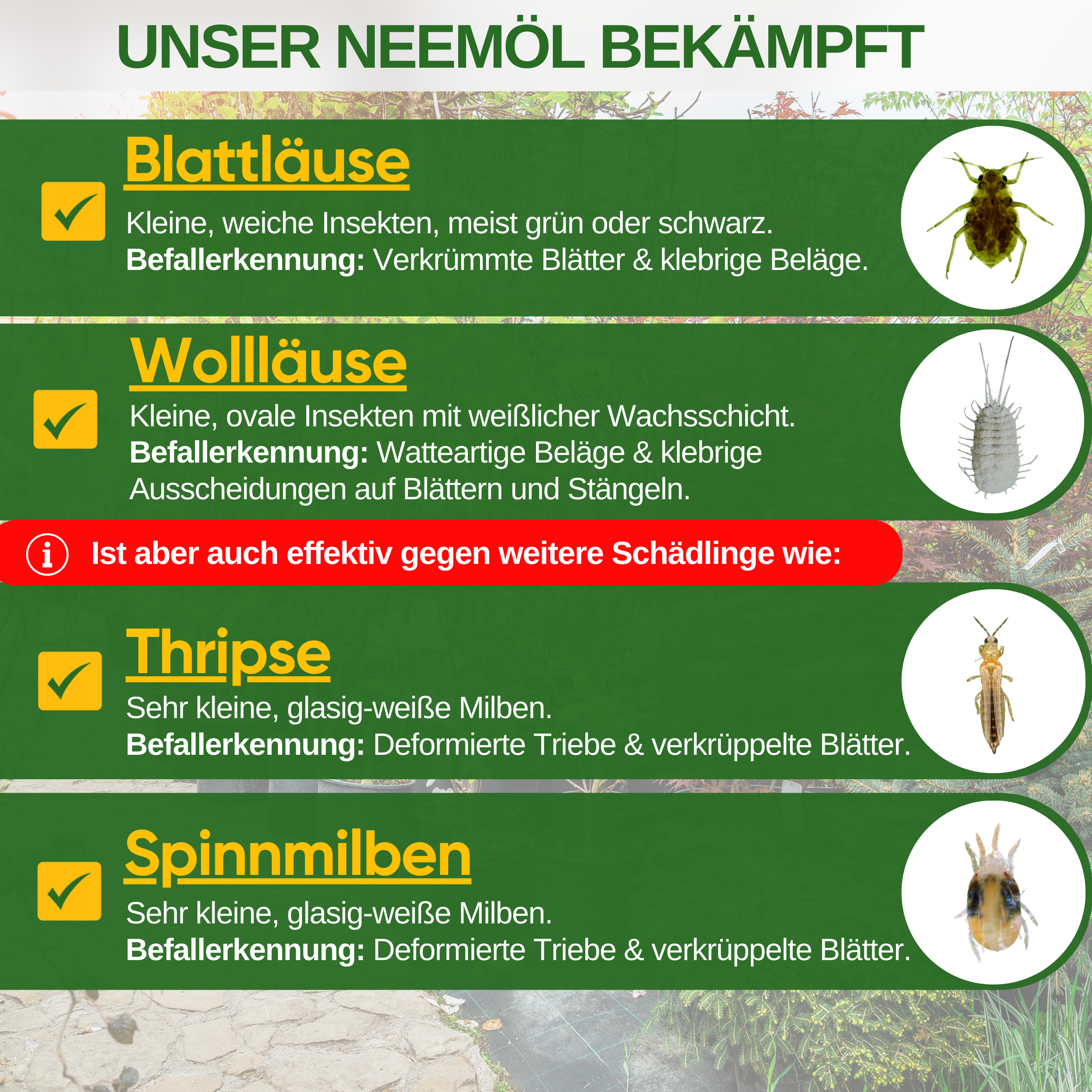 Power Neem oil against aphids and mealybugs
