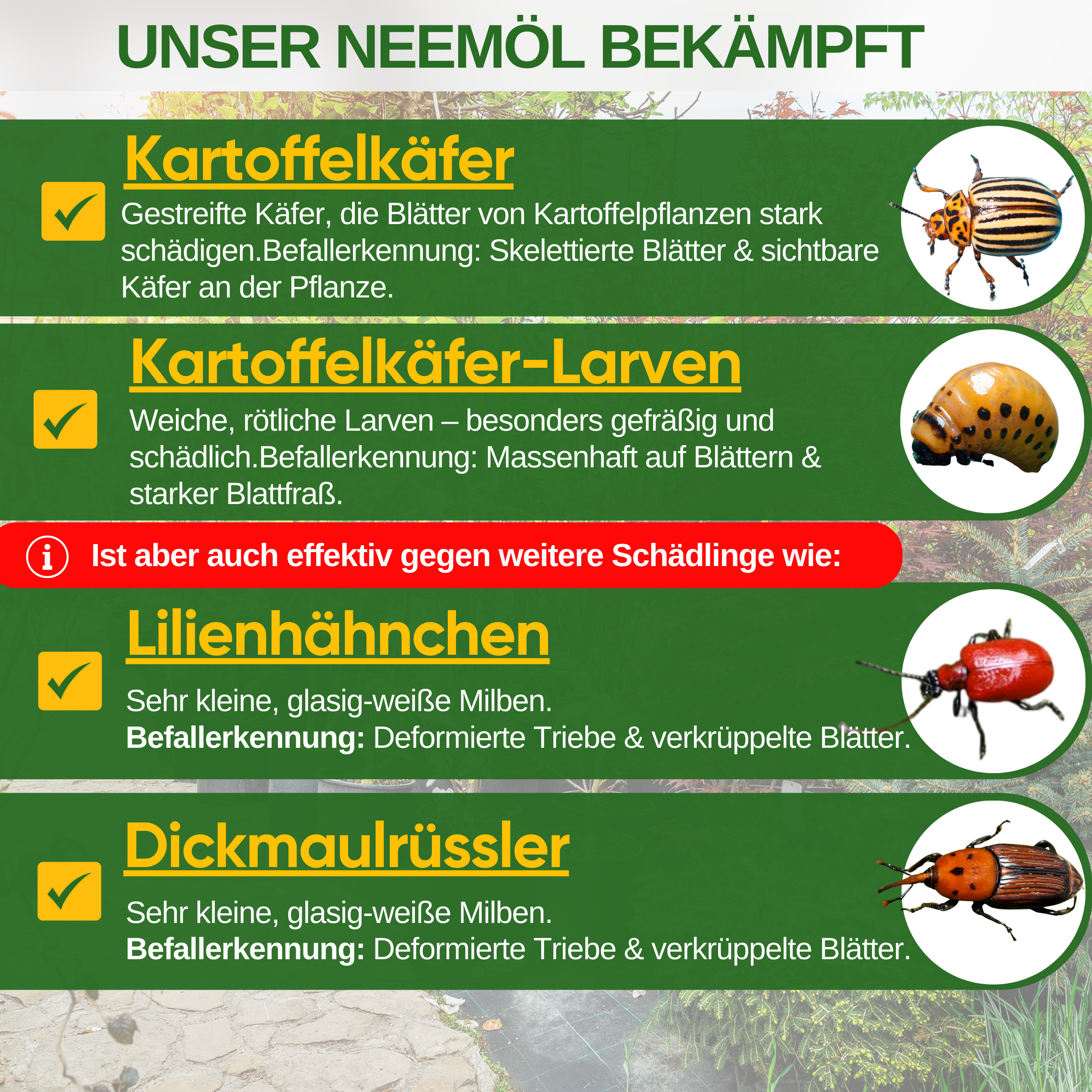 Power Neem-olie mod Colorado-kartoffelbiller