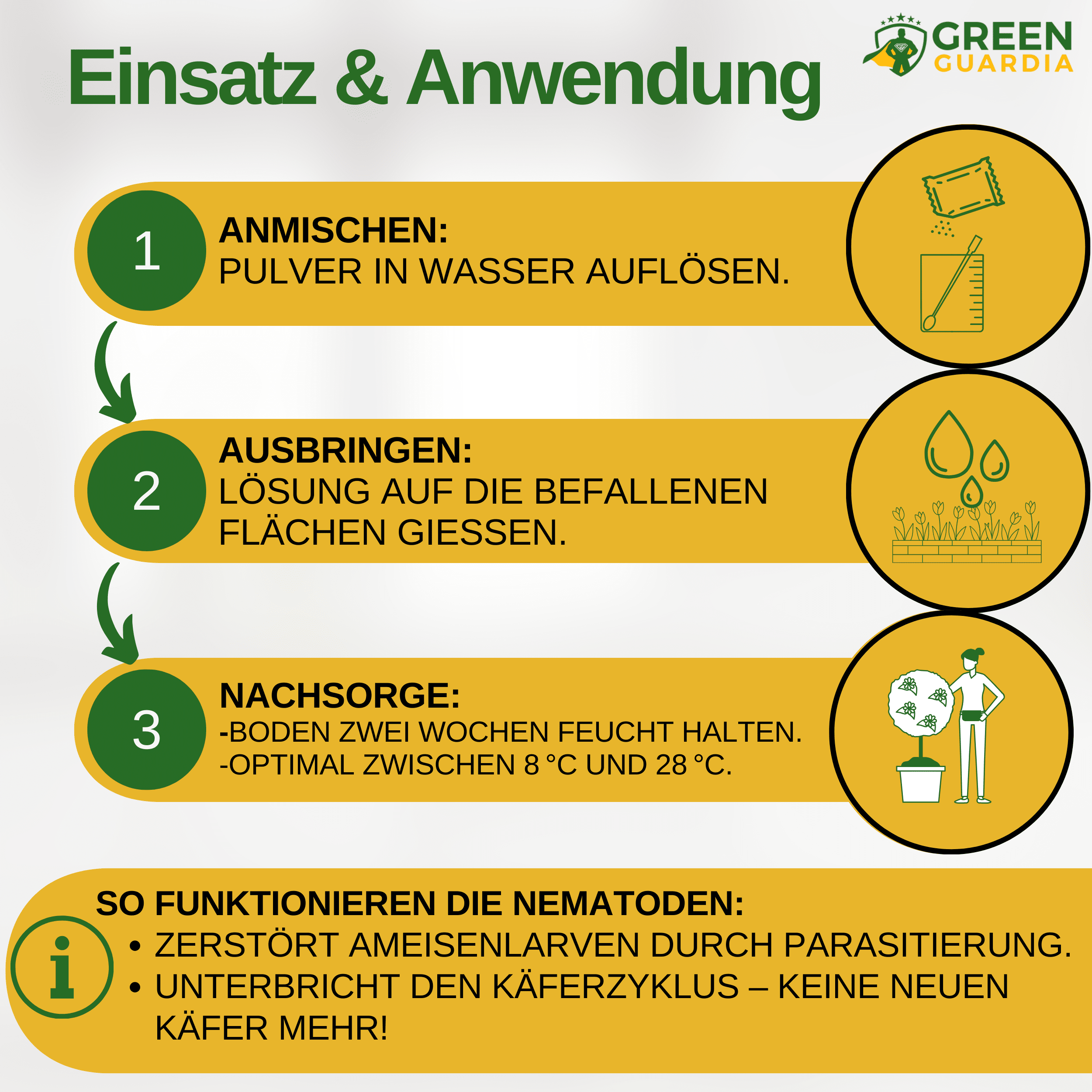 SF - Nematoden gegen Ameisen - Green Guardia - Ihr Experte für Schädlinge und Pflanzen