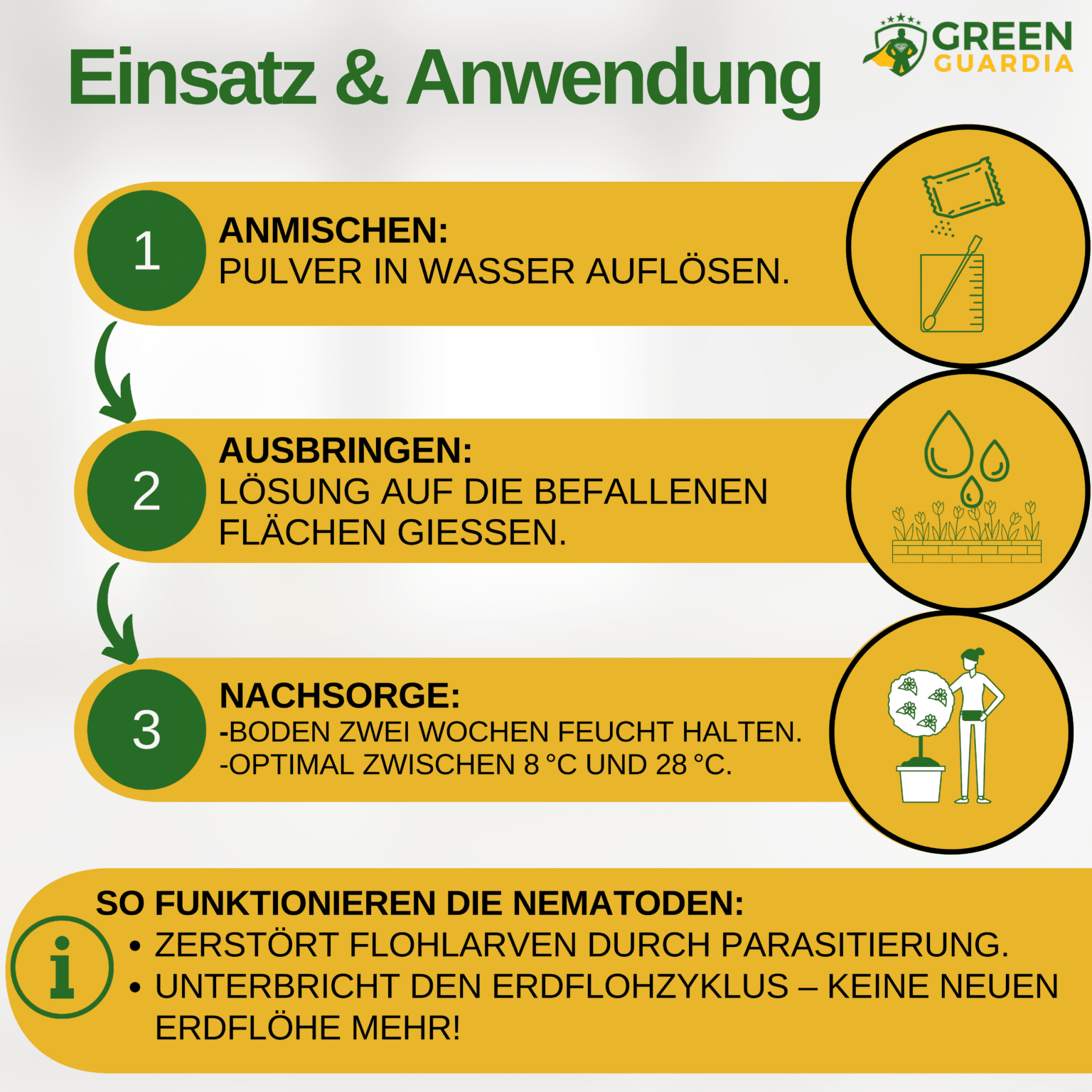 SF - Nematoden gegen Erdflöhe - Green Guardia - Ihr Experte für Schädlinge und Pflanzen