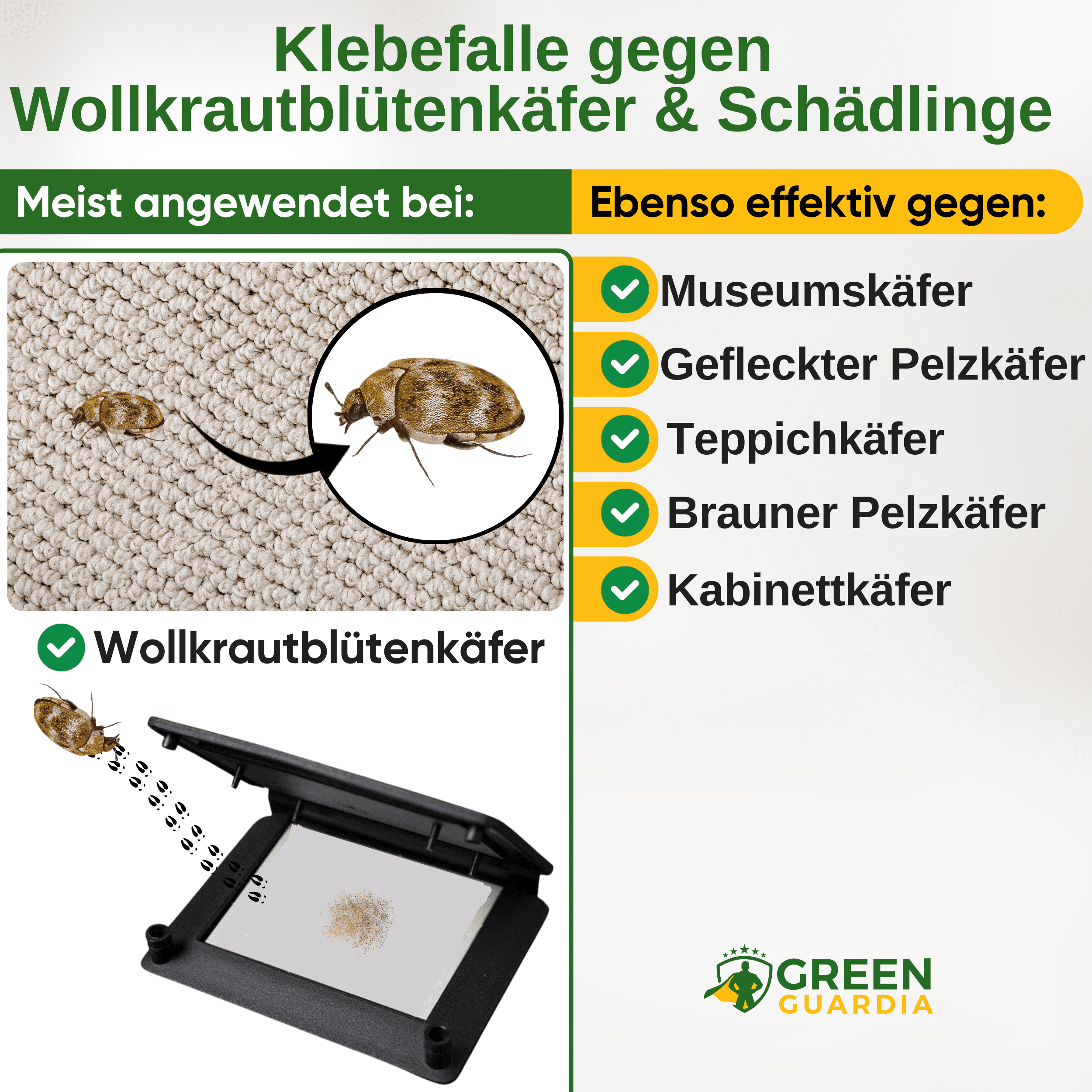 Wollkrautblütenkäfer Falle mit Pheromon - Lockstoff - Green Guardia - Ihr Experte für Schädlinge und Pflanzen