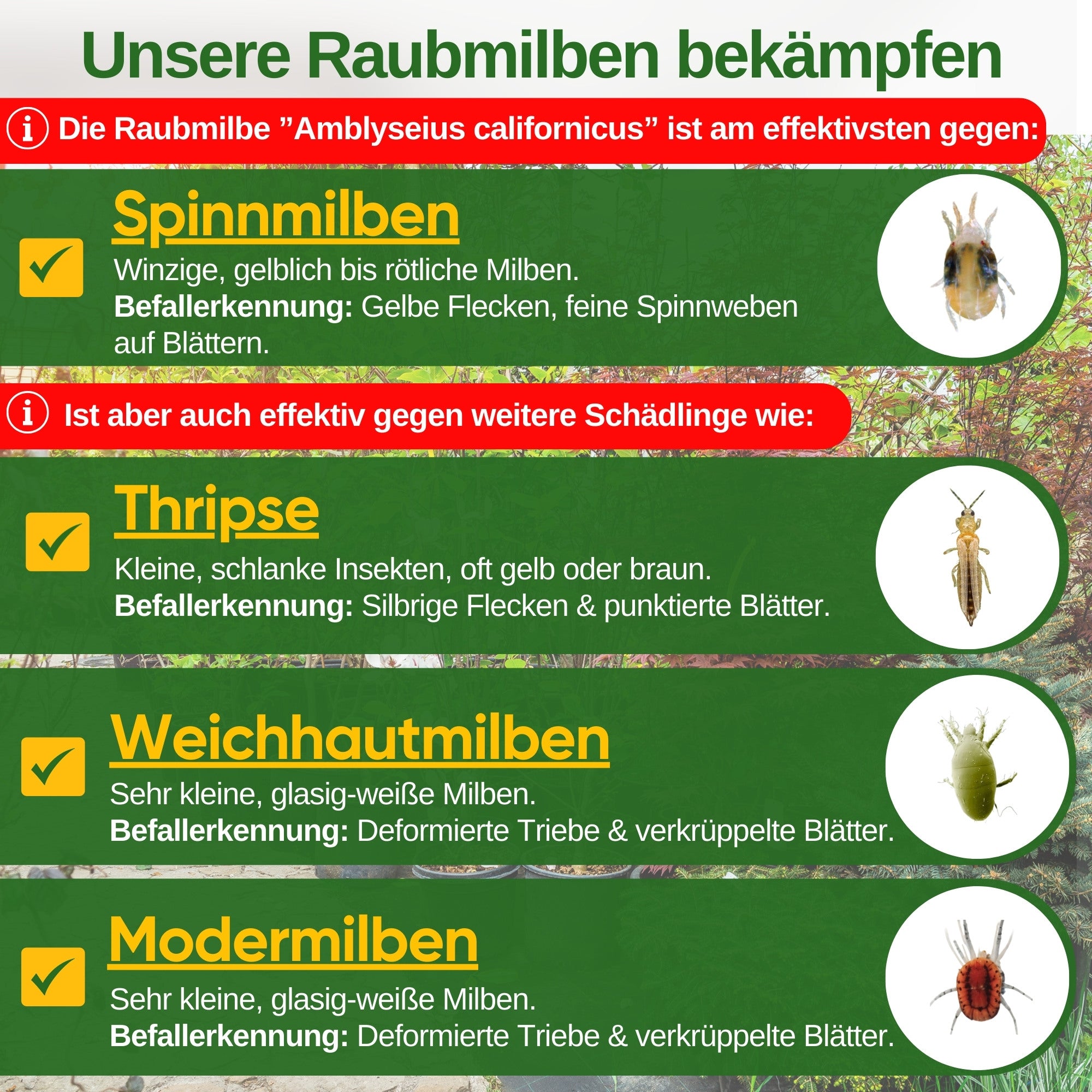 Rovmider mod spindemider – løst produkt