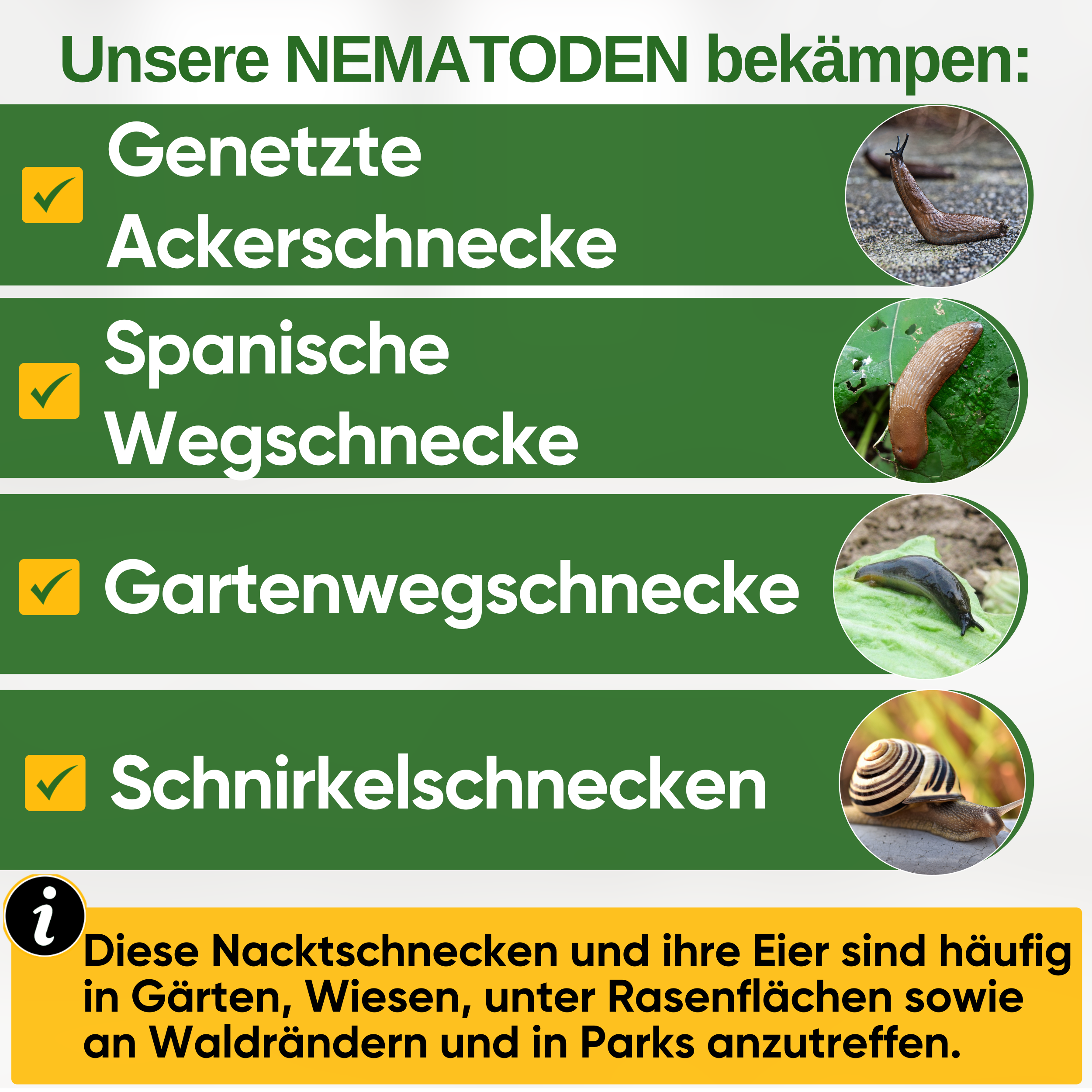 Nematoder mod alle typer snegle