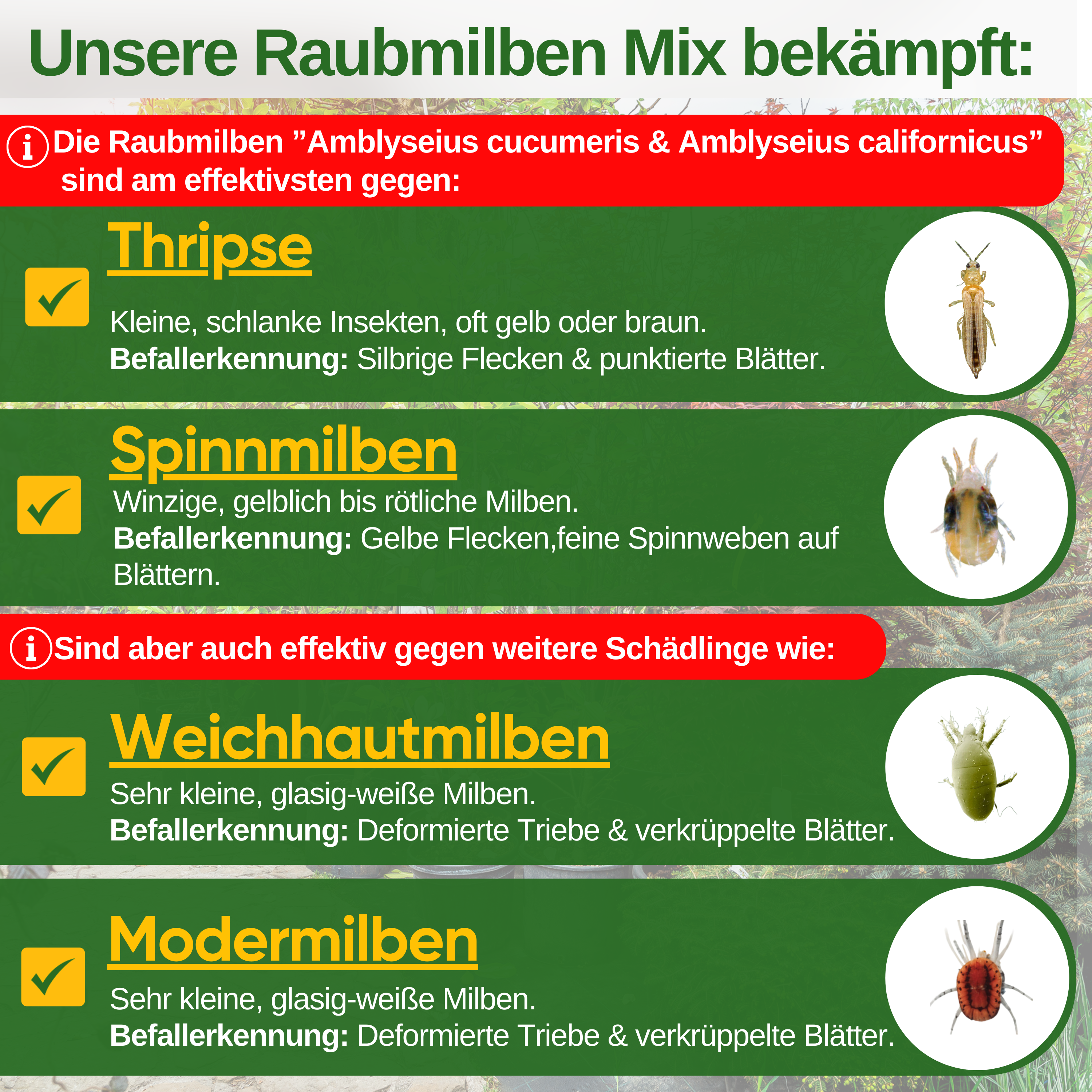 Rovmideblanding mod trips og spindemider – løst produkt