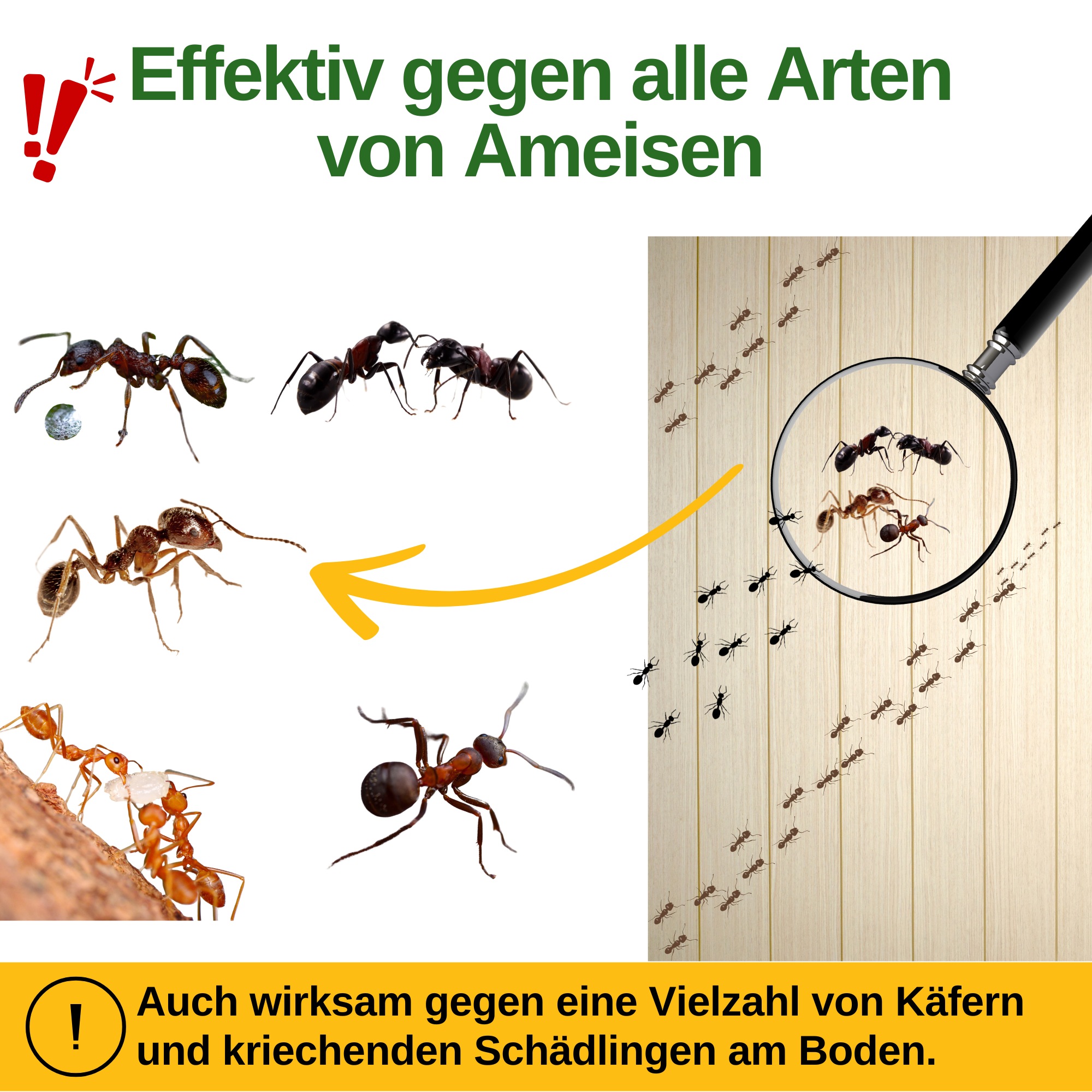 Power Neem-olie mod myrer