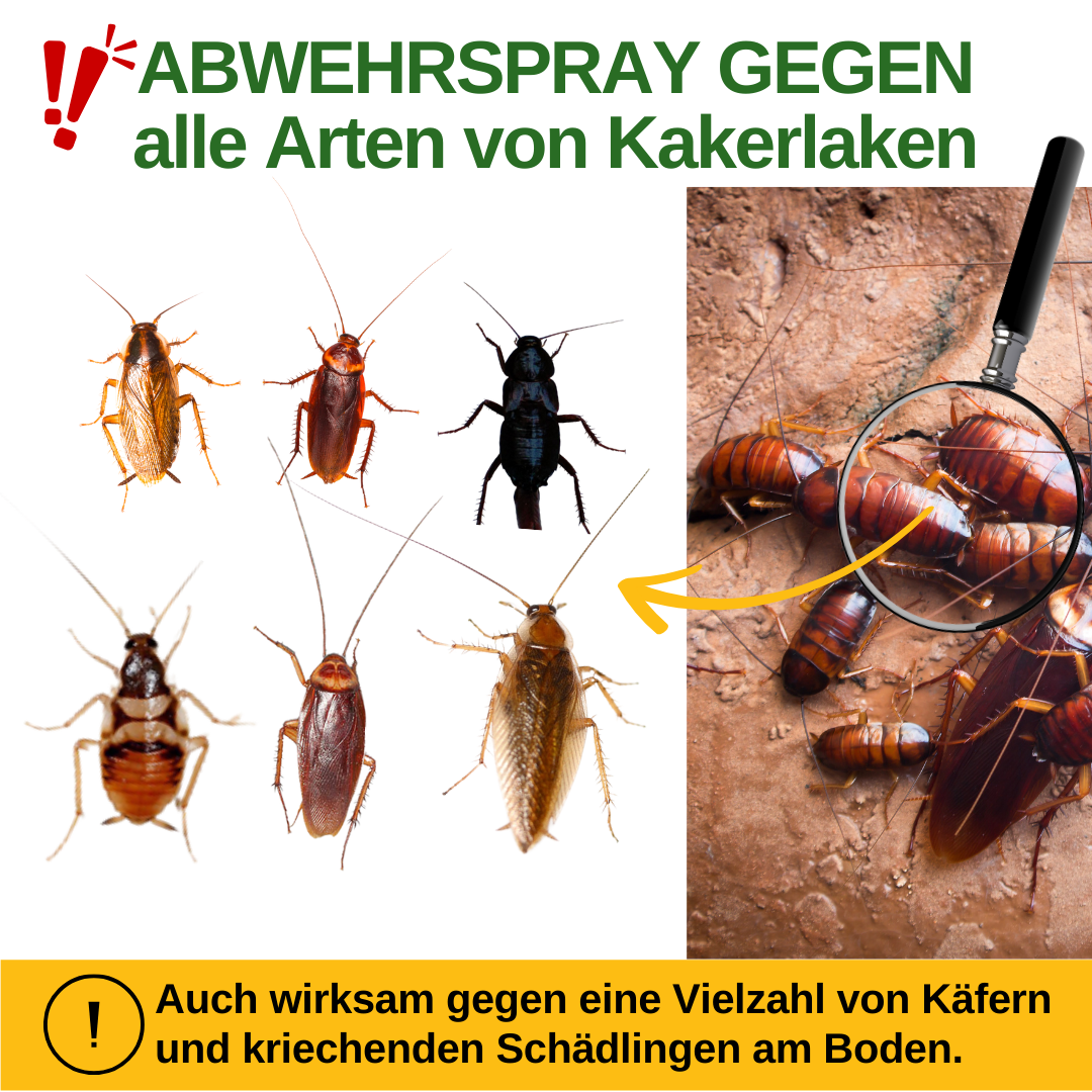 Kakerlakafvisende spray med kraftfuld koncentrat