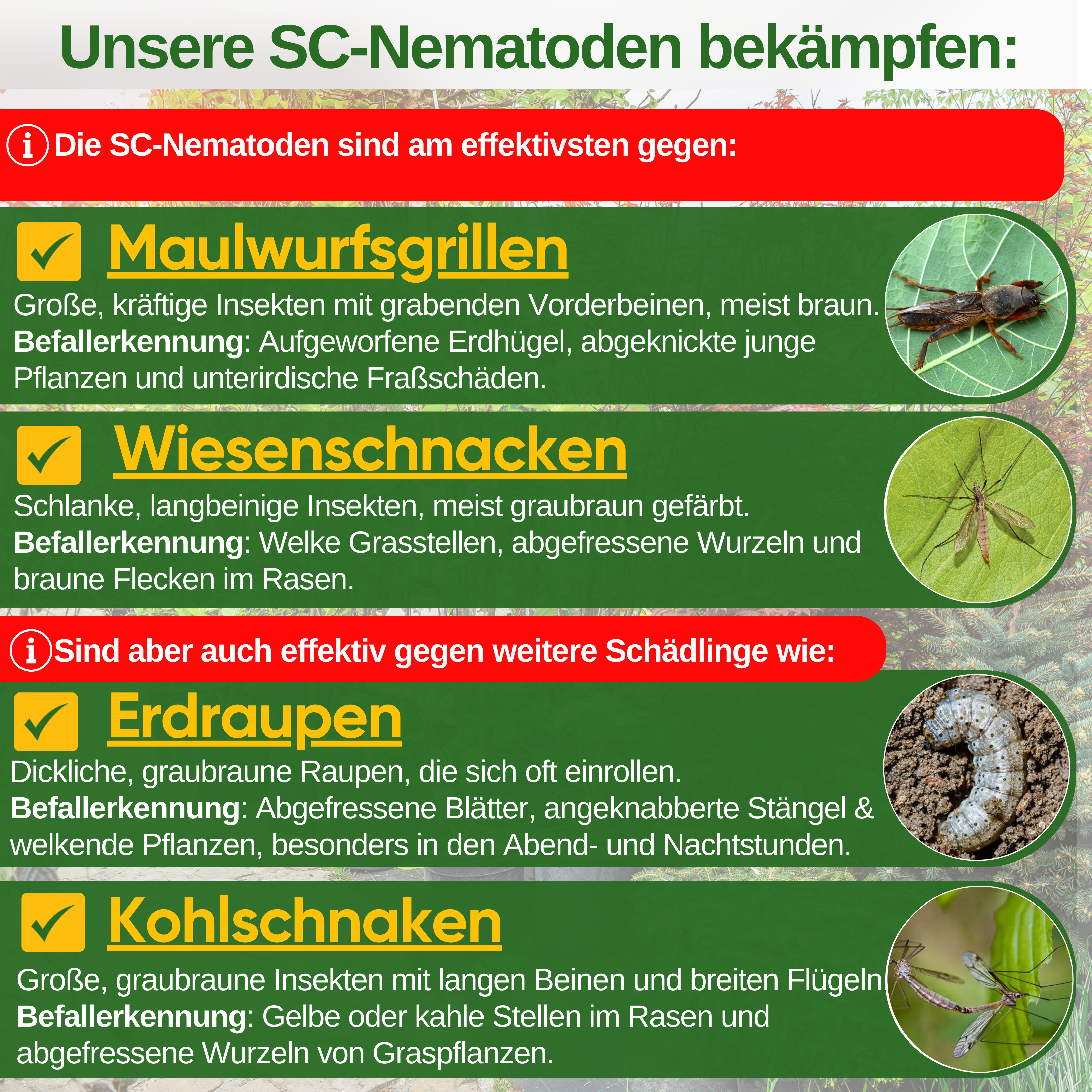 SC nematoder mod muldvarpe fårekyllinger, græshopper og bladorme