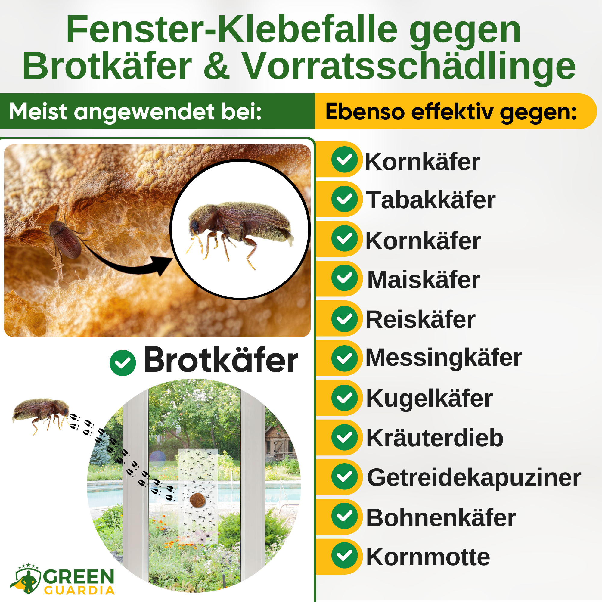 Brødbille-vinduesfælde med specielt lokkemiddel