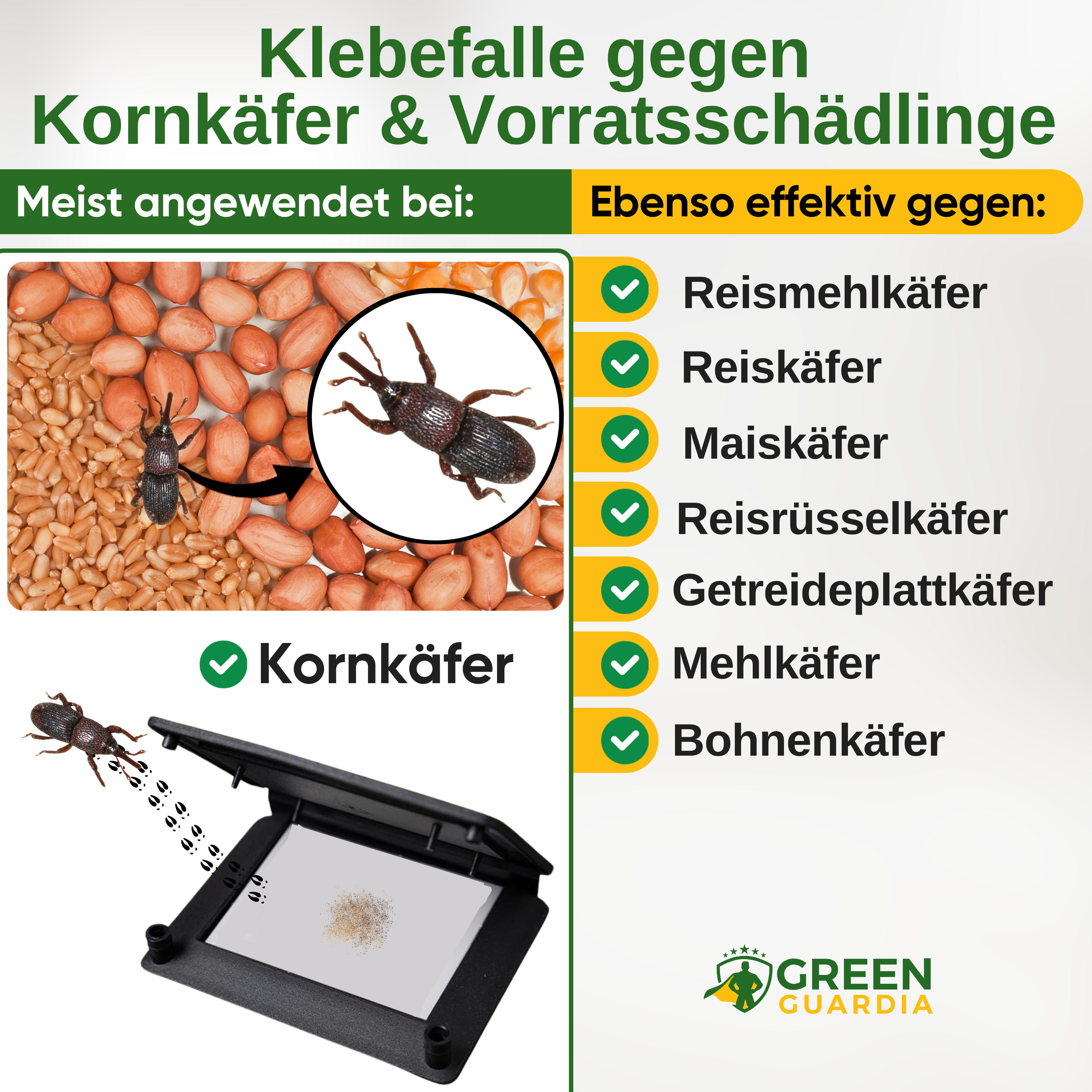 Kornbillefælde med feromontiltrækningsmiddel
