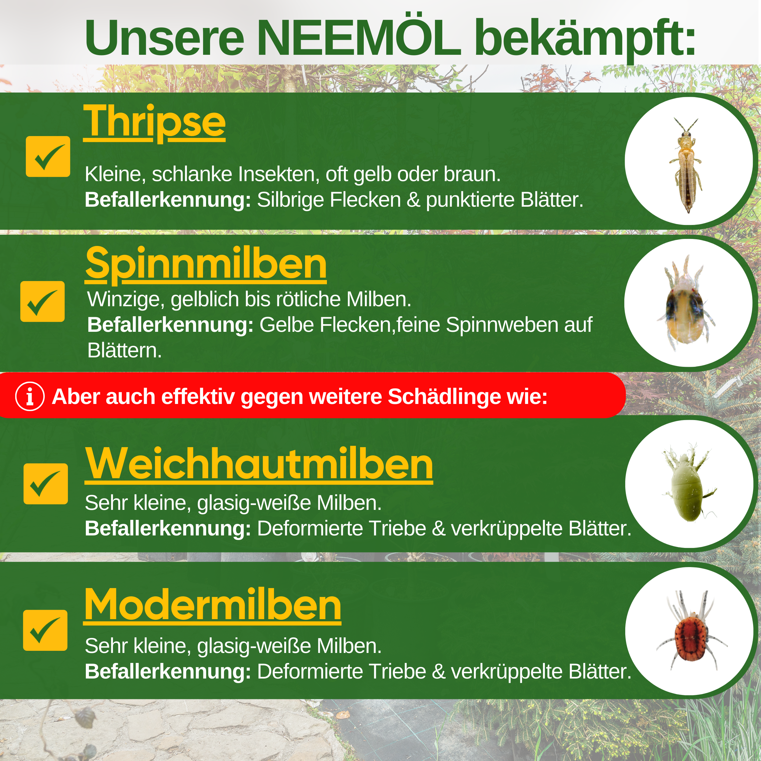 Power Neem-olie mod trips