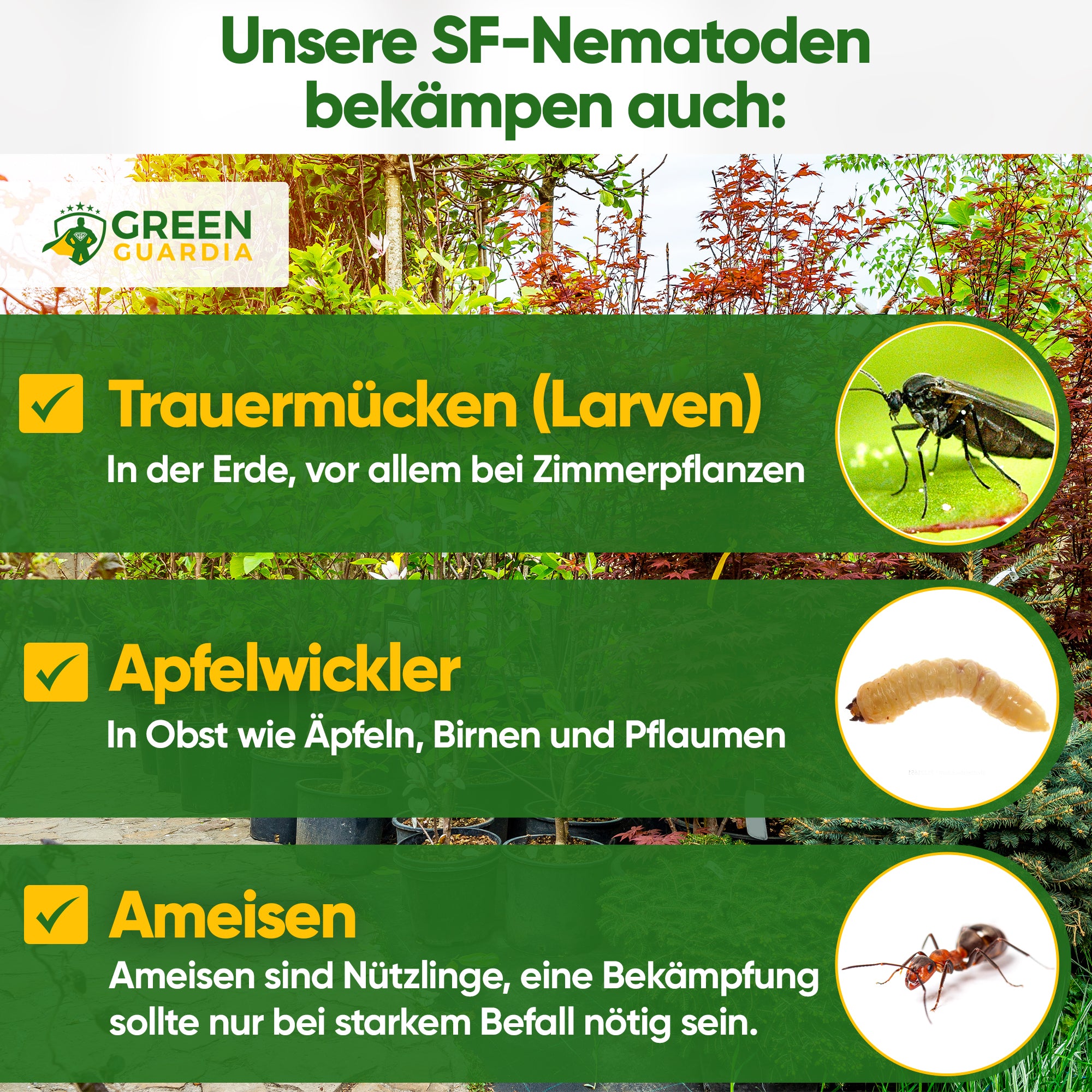 SF nematoder mod svampemyg, møller og myrer