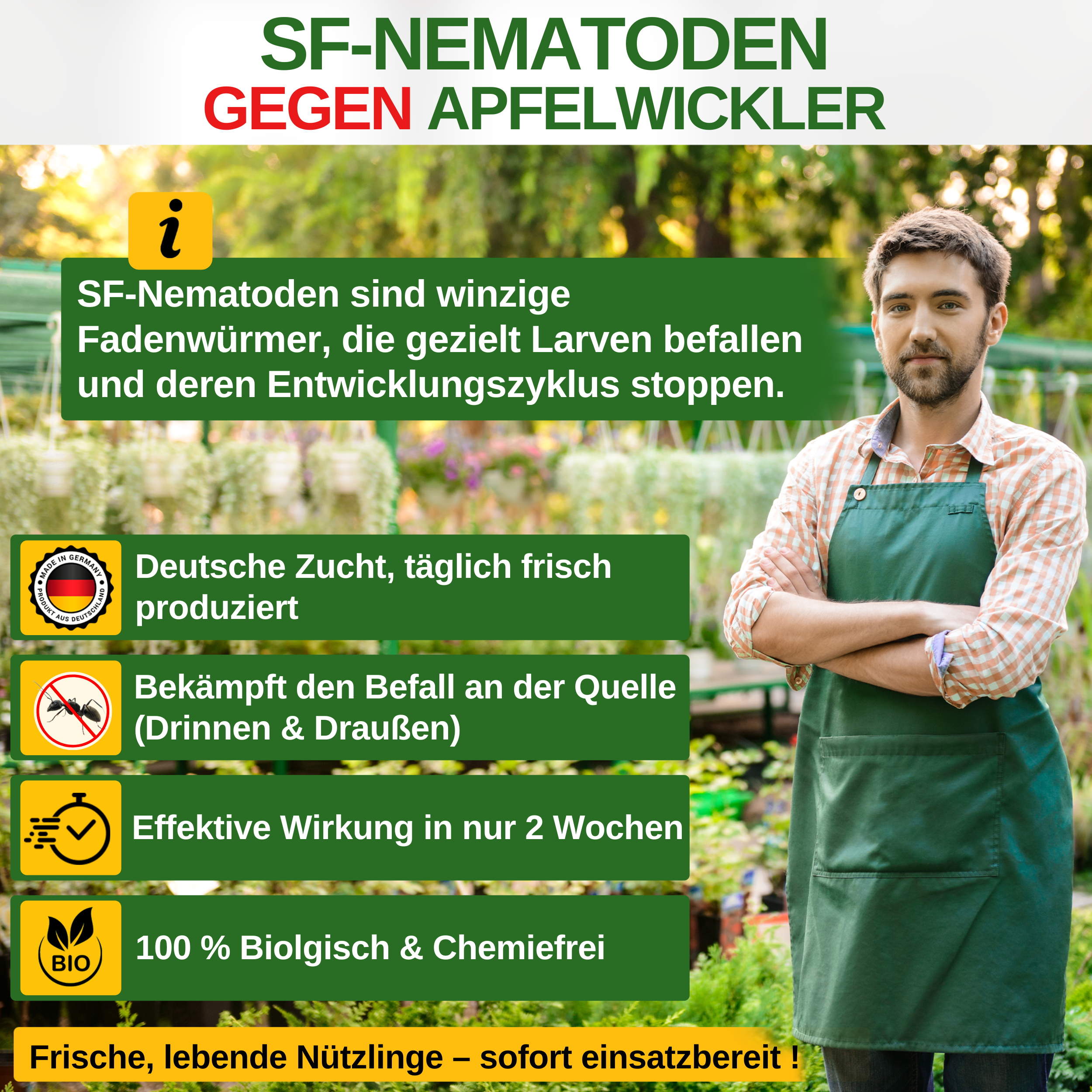 SF nematoder mod kodlingmøl