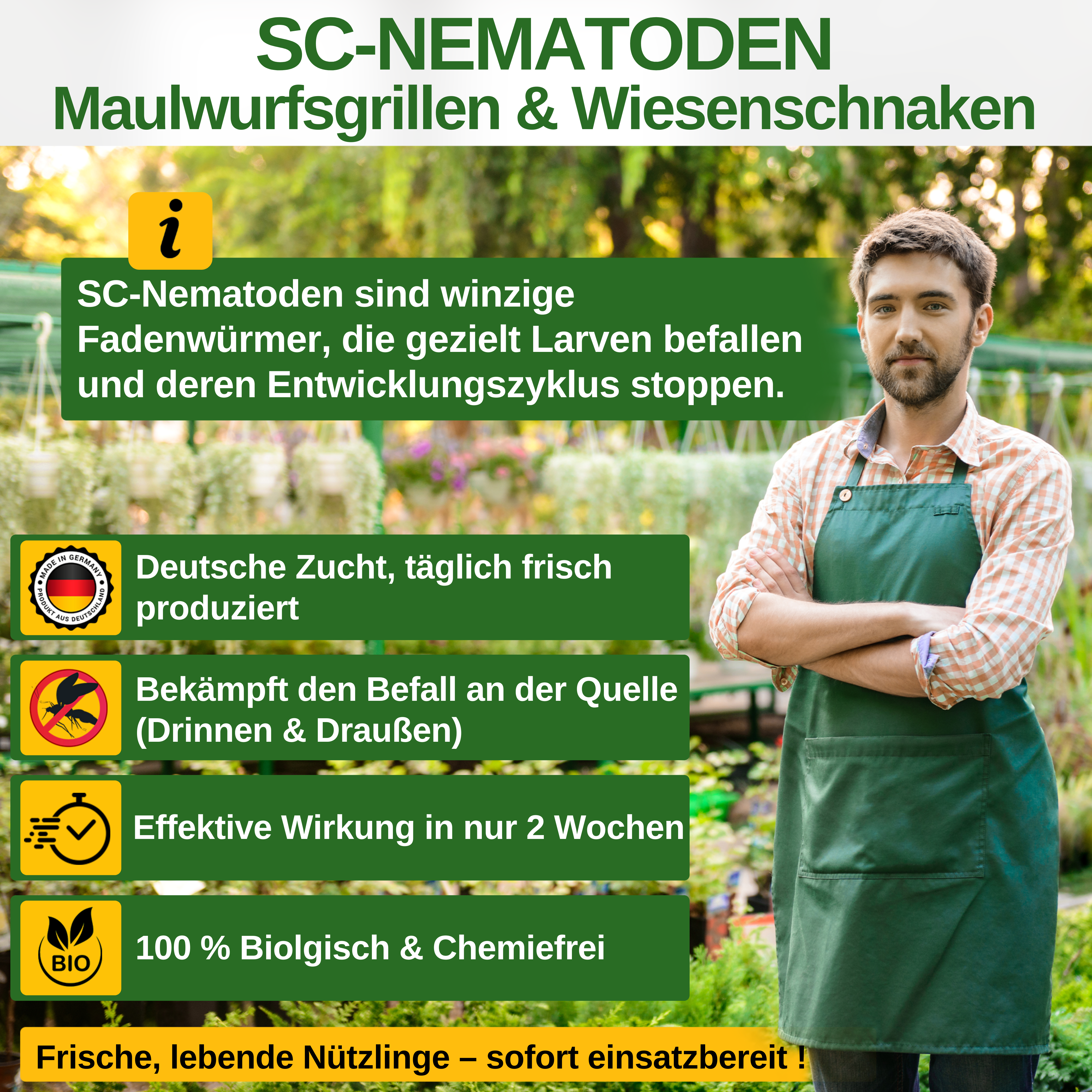 SC nematoder mod muldvarpe fårekyllinger, græshopper og bladorme