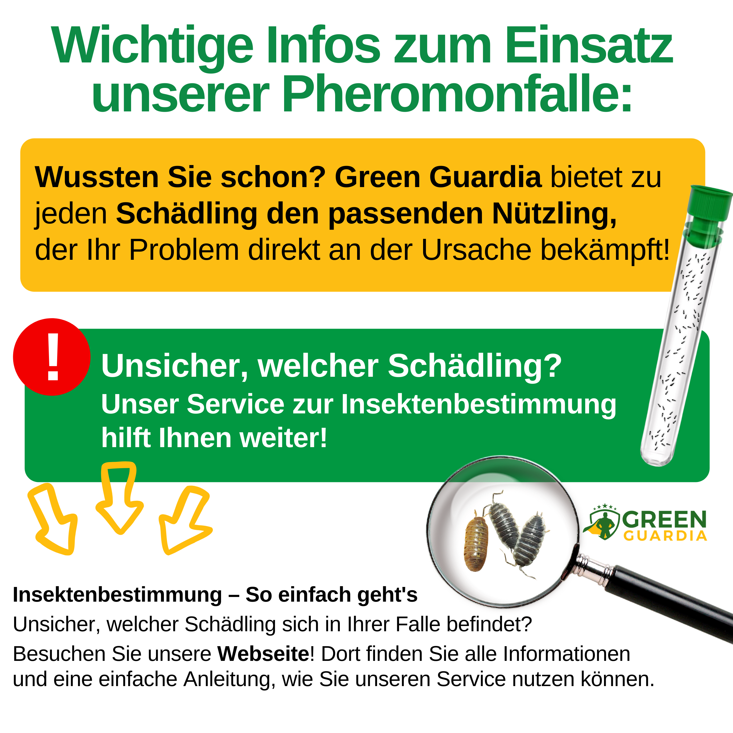 Woodlice trap with pheromone attractant 