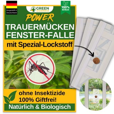 Trauermücken Fenster-Falle mit Spezial-Lockstoff