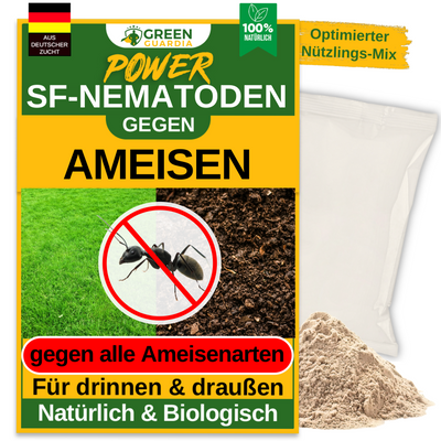 SF-Nematoden gegen Ameisen