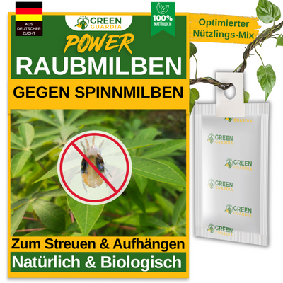 Raubmilben gegen Spinnmilben zum Aufhängen oder Streuen