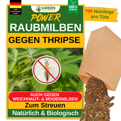 Raubmilben gegen Thripse – Streuware