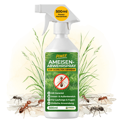 Ameisen Abwehrspray Power-Konzentrat - 500ml - Green Guardia - Ihr Experte für Schädlinge und Pflanzen