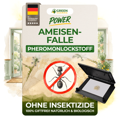 Ameisen Falle - Green Guardia - Ihr Experte für Schädlinge und Pflanzen