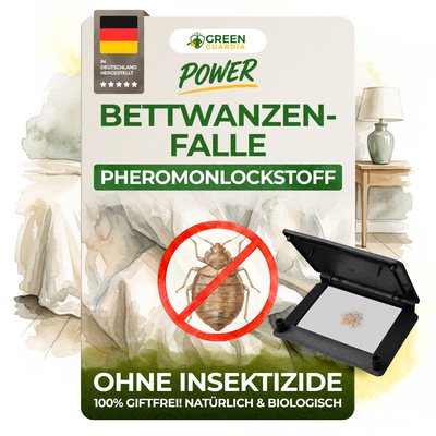Bed bug trap