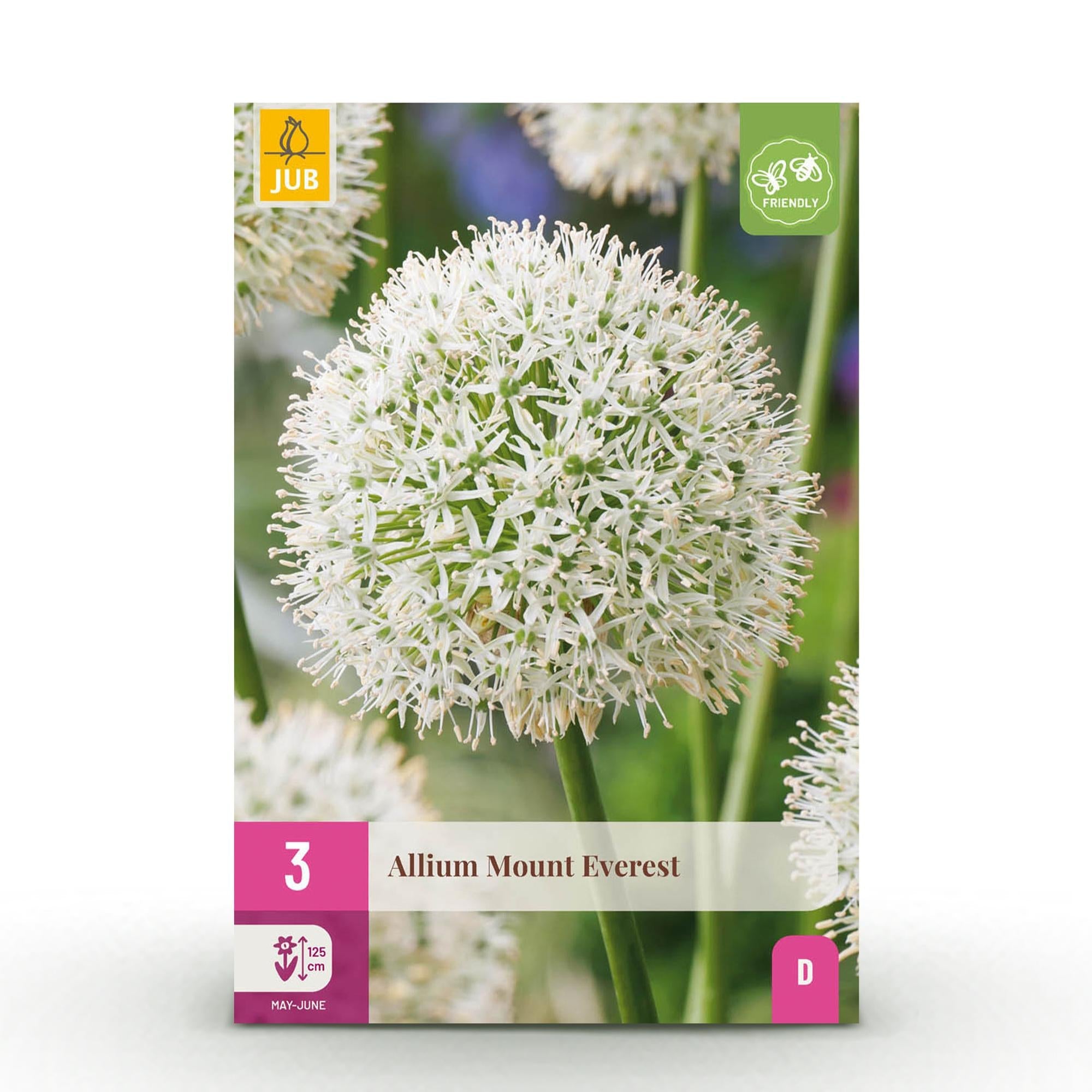 Blumenzwiebeln – Allium ‘Mount Everest’ – winterhart & mehrjährig – weiß – 3 Stück – Zwiebelgröße 16/18 – XXL Pack - Green Guardia - Ihr Experte für Schädlinge und Pflanzen