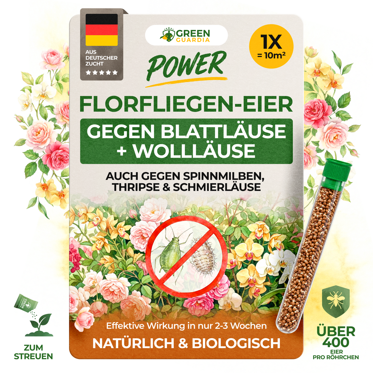 Florfliegeneier gegen Blattläuse, Thripse, Spinnmilben und Co.