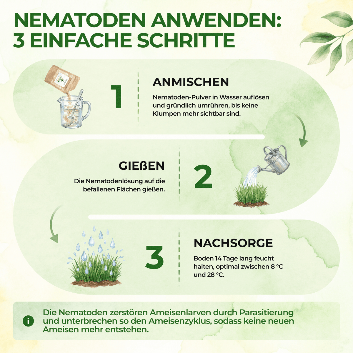 Nematoden gegen Kirschfruchtfliegen - Green Guardia - Ihr Experte für Schädlinge und Pflanzen