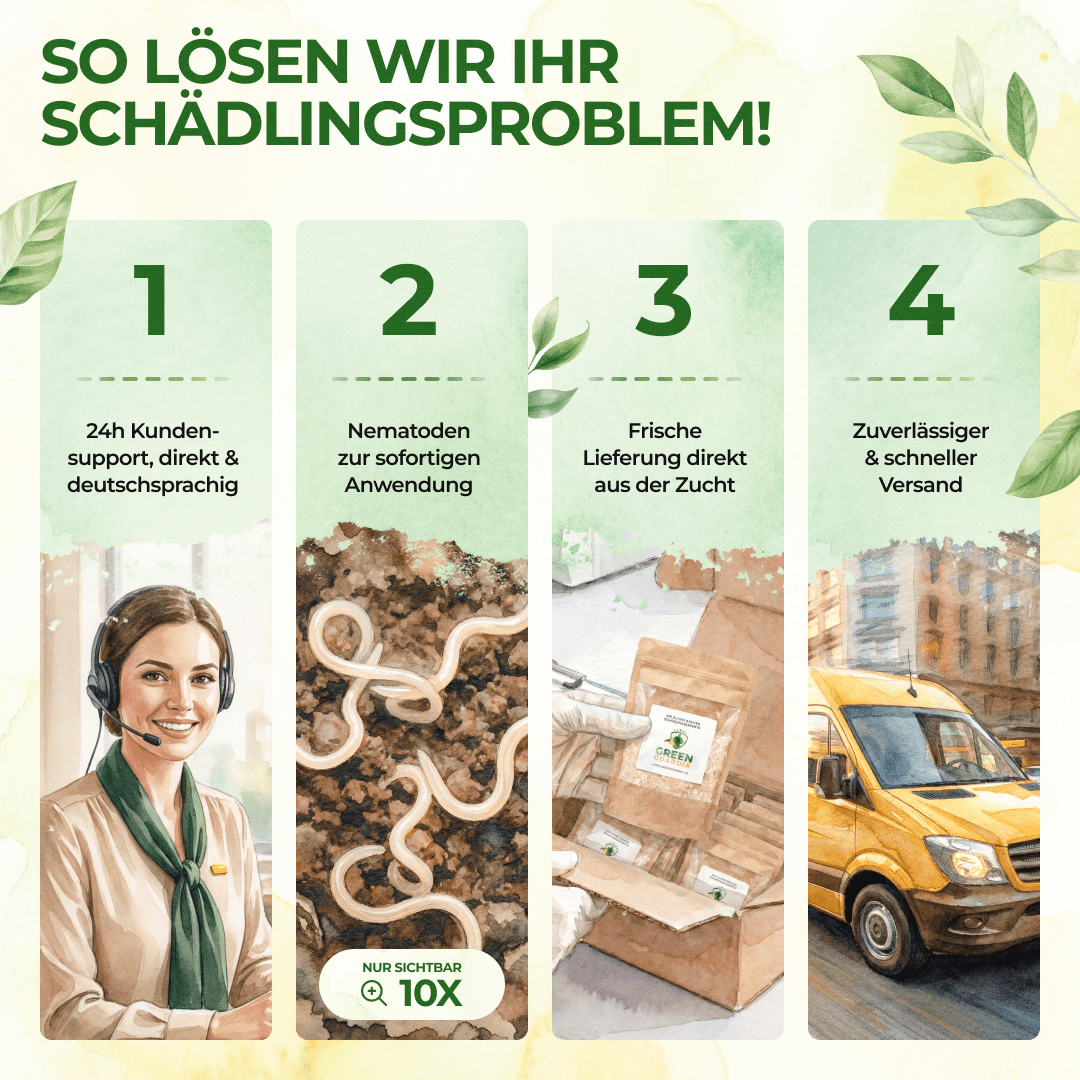 PC - Nematoden gegen Schnecken & Nacktschnecken - Green Guardia - Ihr Experte für Schädlinge und Pflanzen