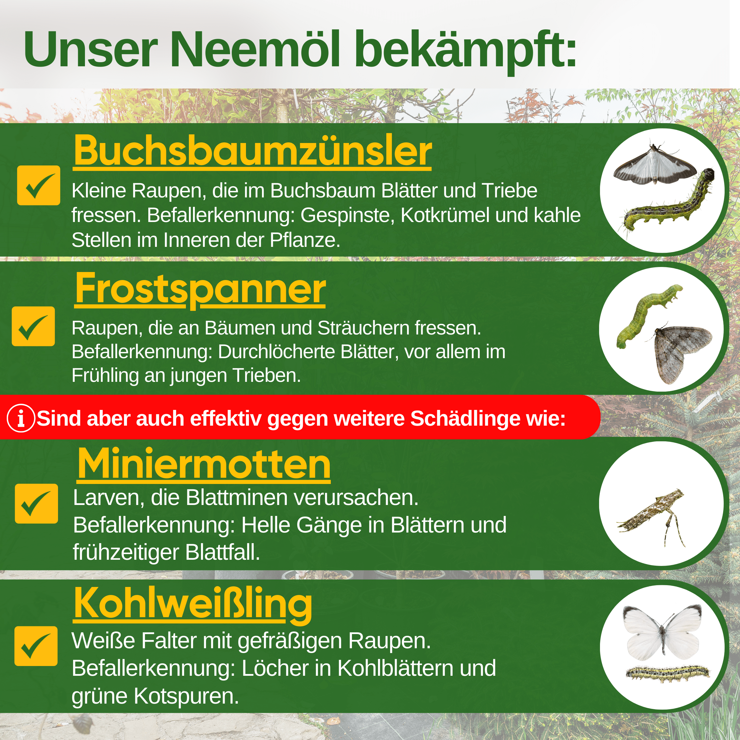 Power Neemöl gegen Buchsbaumzünsler - Green Guardia - Ihr Experte für Schädlinge und Pflanzen