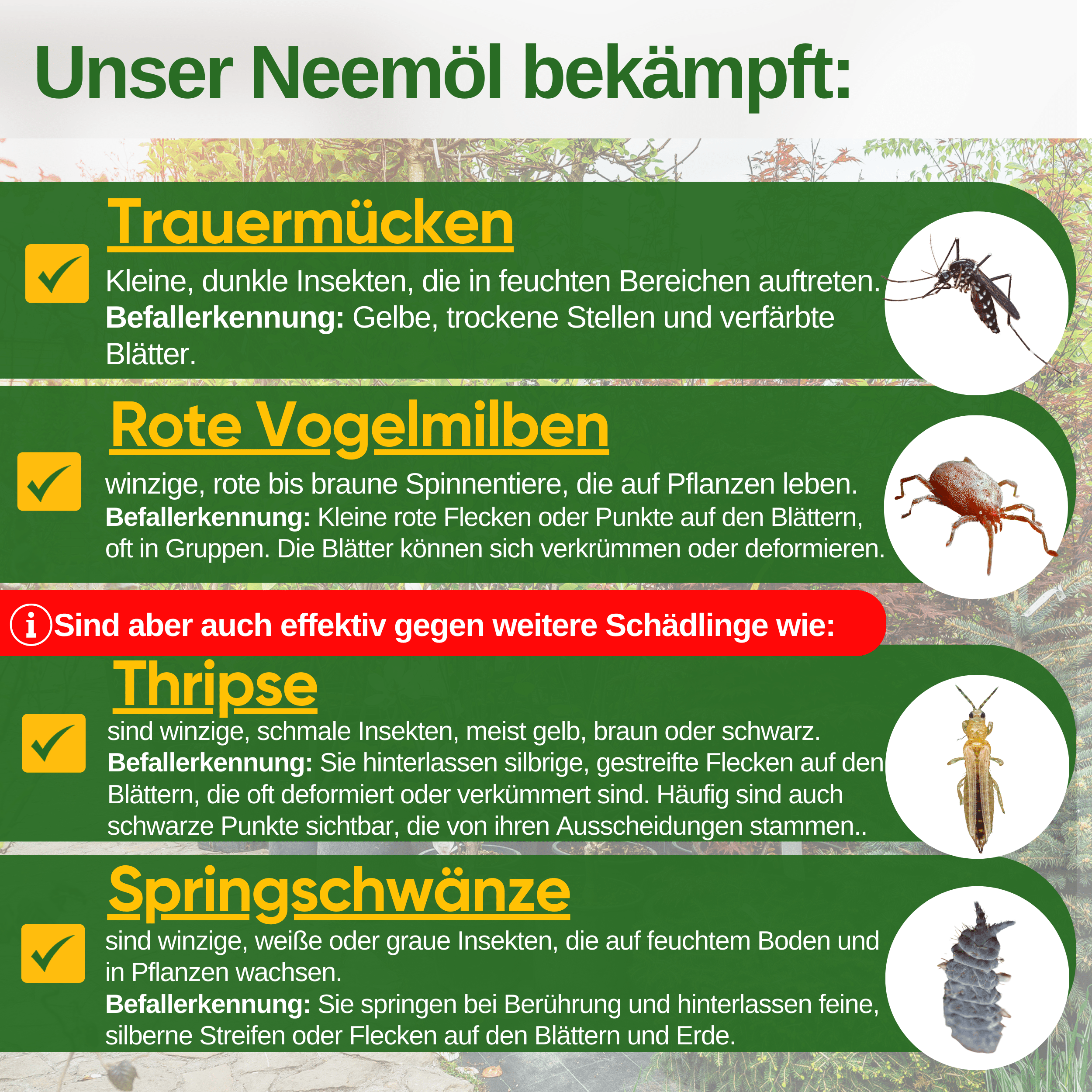 Power Neemöl gegen Trauermücken - Green Guardia - Ihr Experte für Schädlinge und Pflanzen