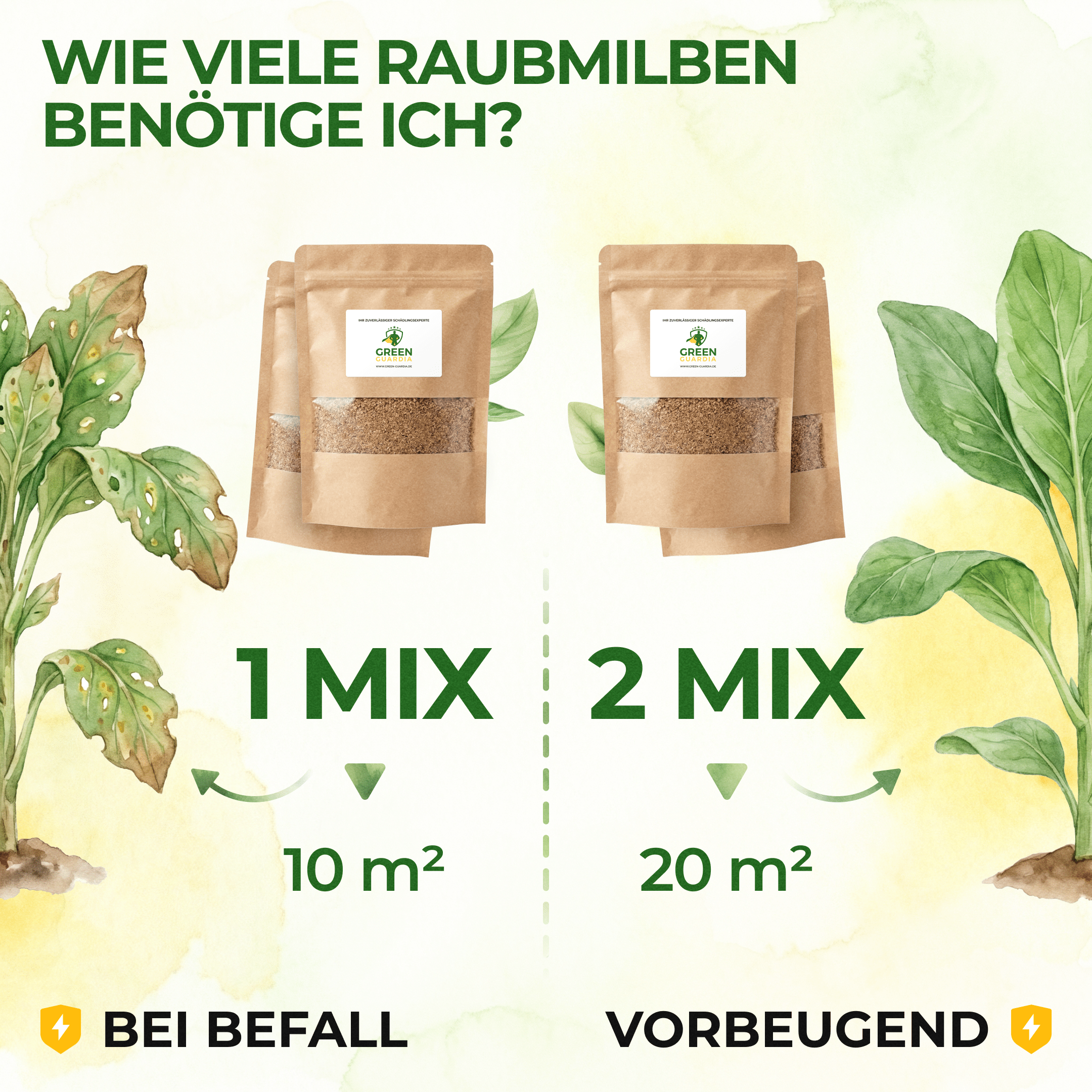 Raubmilben Mix gegen Thripse & Spinnmilben - Green Guardia - Ihr Experte für Schädlinge und Pflanzen