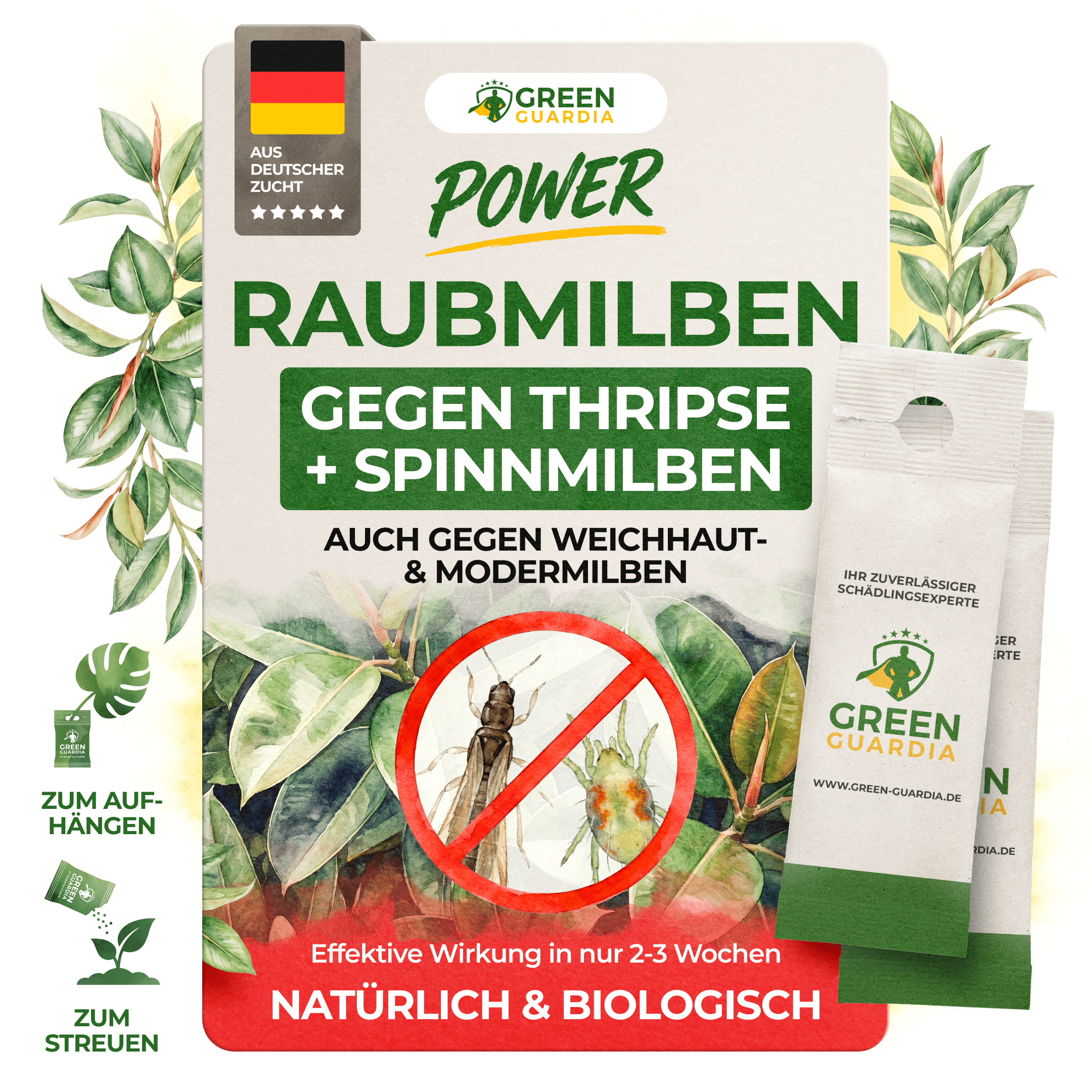 Raubmilben Mix gegen Thripse & Spinnmilben - Green Guardia - Ihr Experte für Schädlinge und Pflanzen