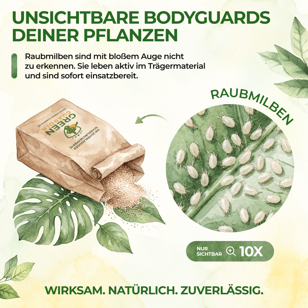 Raubmilben Mix gegen Trauermücken & Rote Vogelmilben - Green Guardia - Ihr Experte für Schädlinge und Pflanzen