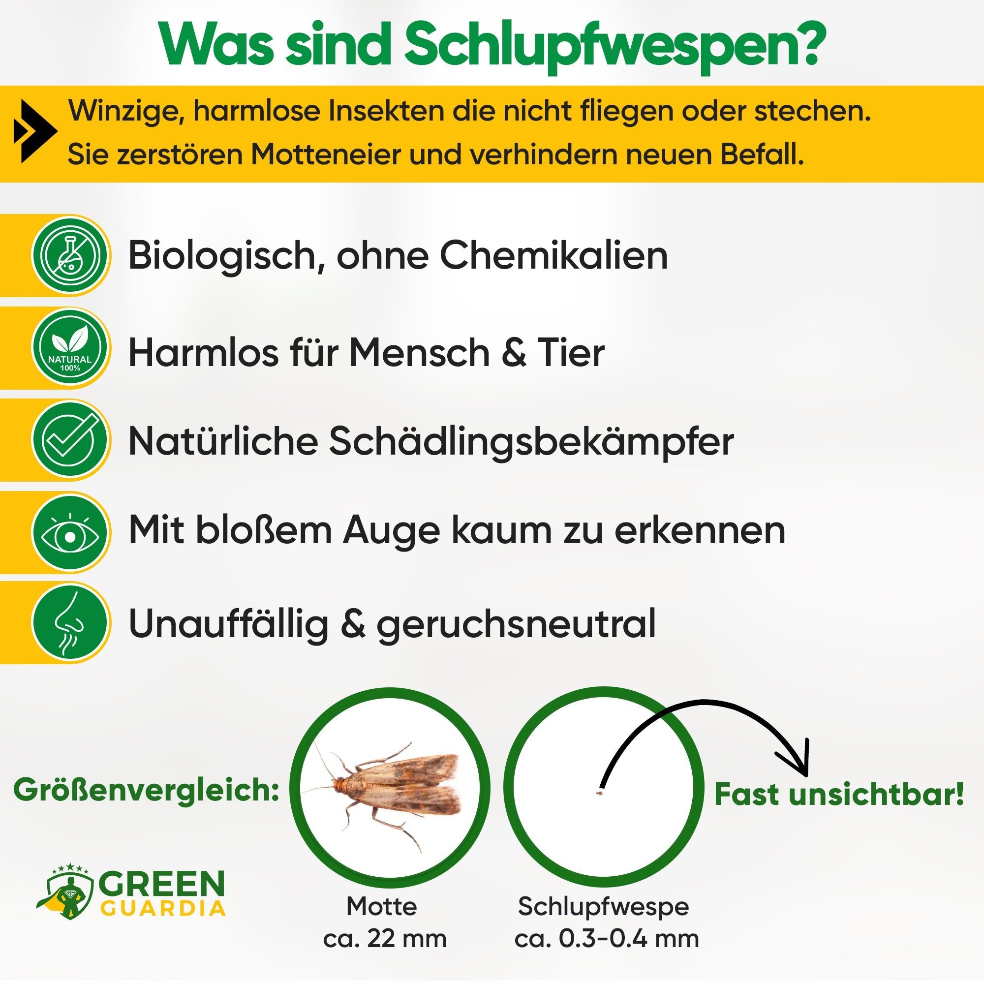 Schlupfwespen gegen Kleidermotten - Green Guardia - Ihr Experte für Schädlinge und Pflanzen