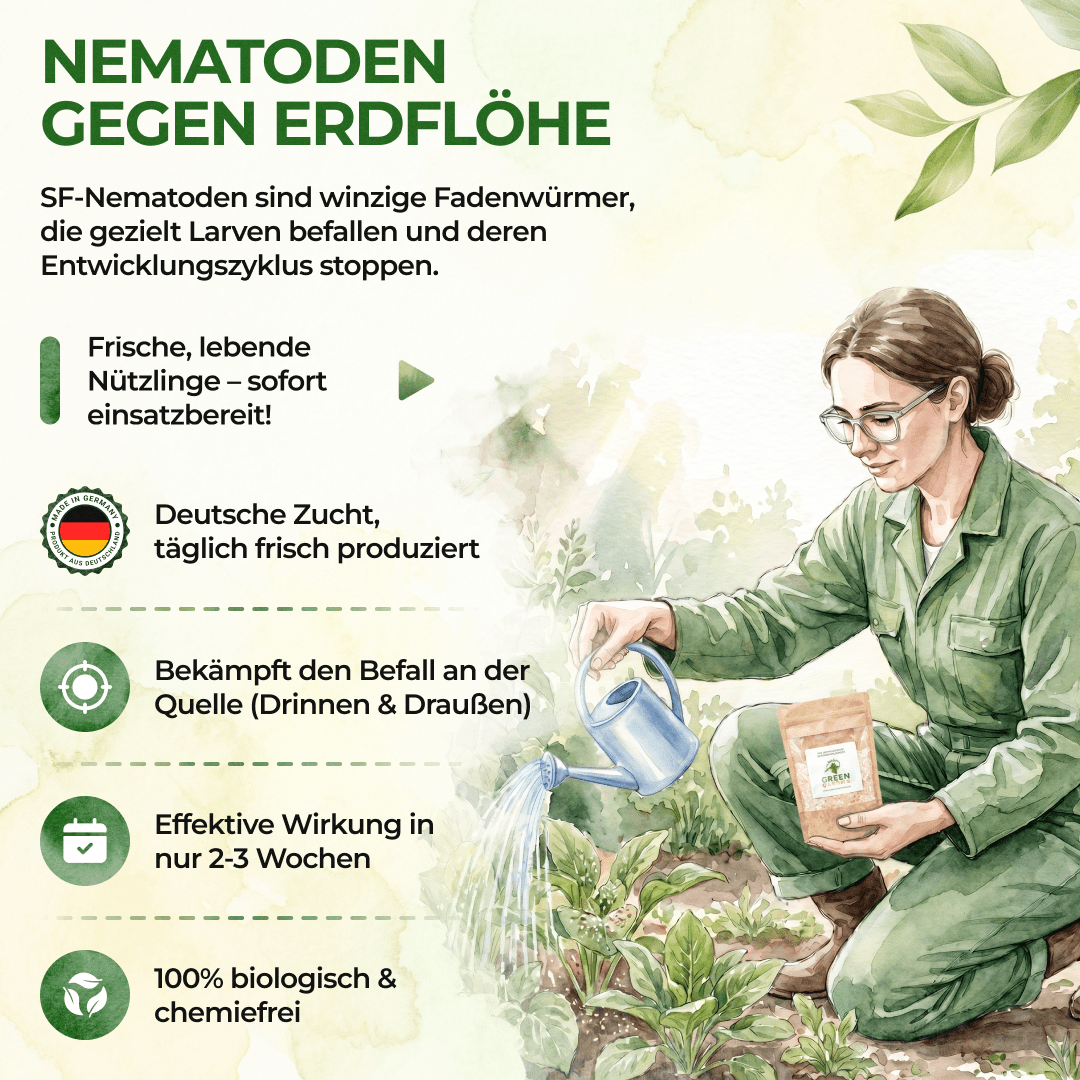 SF - Nematoden gegen Erdflöhe - Green Guardia - Ihr Experte für Schädlinge und Pflanzen