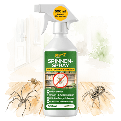 Spinnen Abwehrspray Power-Konzentrat - 500ml - Green Guardia - Ihr Experte für Schädlinge und Pflanzen