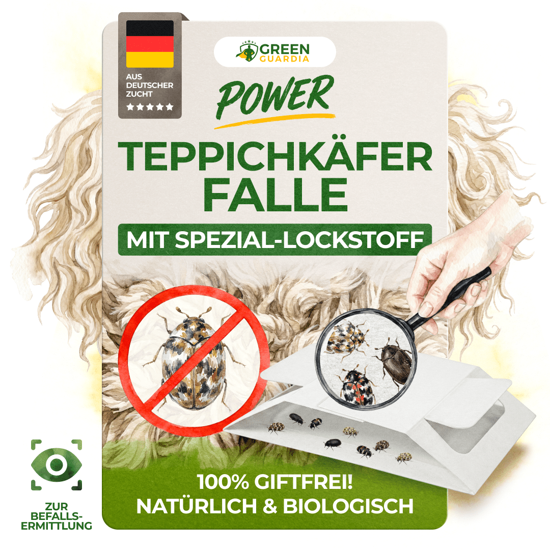 Teppichkäfer Falle - Green Guardia - Ihr Experte für Schädlinge und Pflanzen