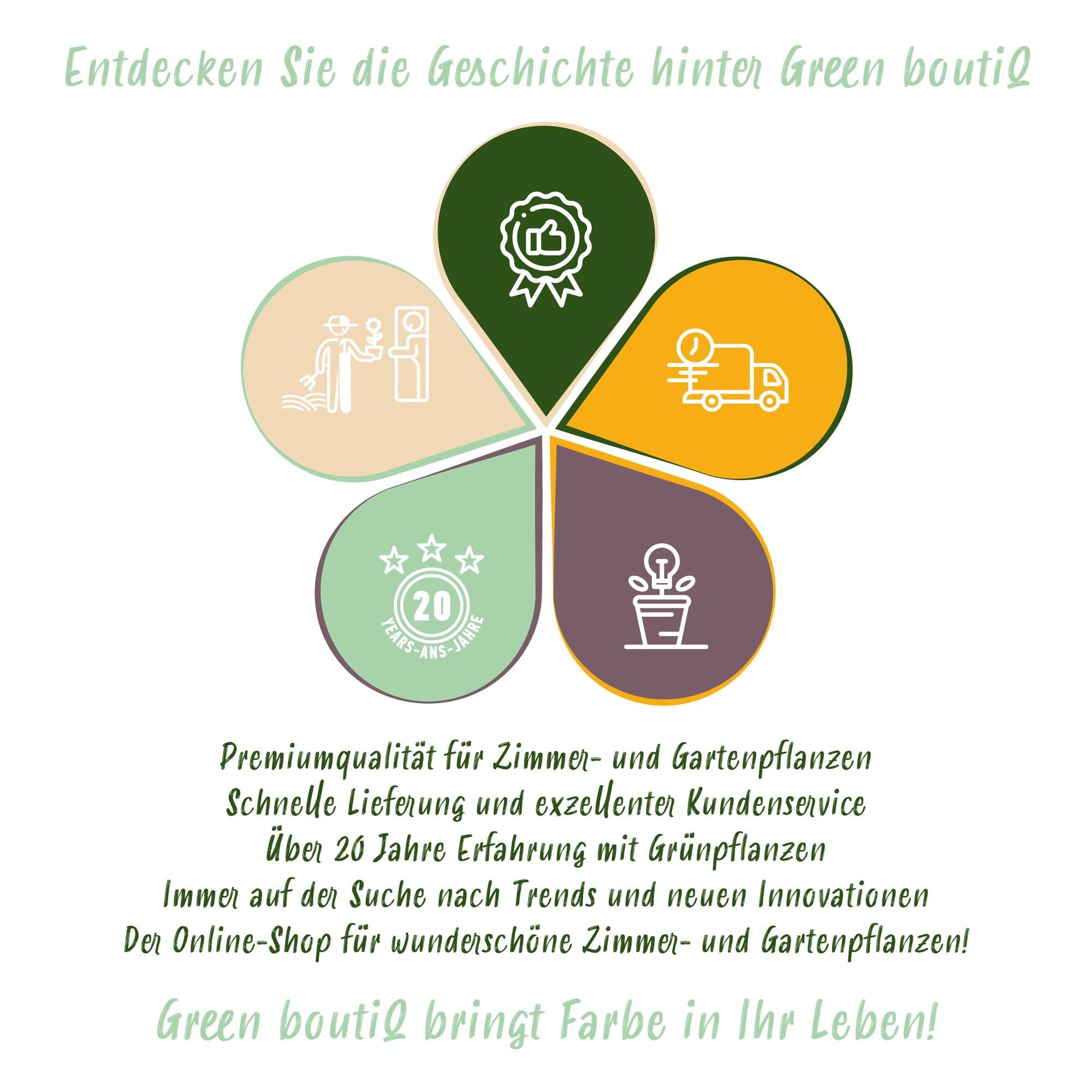 Blommetræ “Opal” – Gulrøde frugter i en 21 cm potte (ca. 90 cm høj)